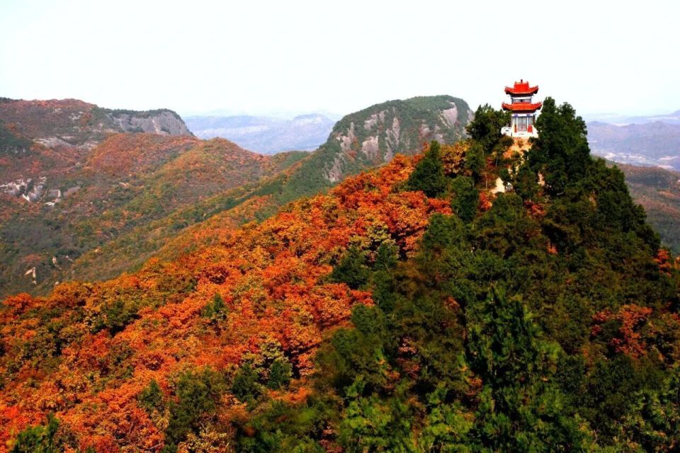 gQQLr, gtimg, 是国内唯一 gQQLr, gtimg, 是国内唯一