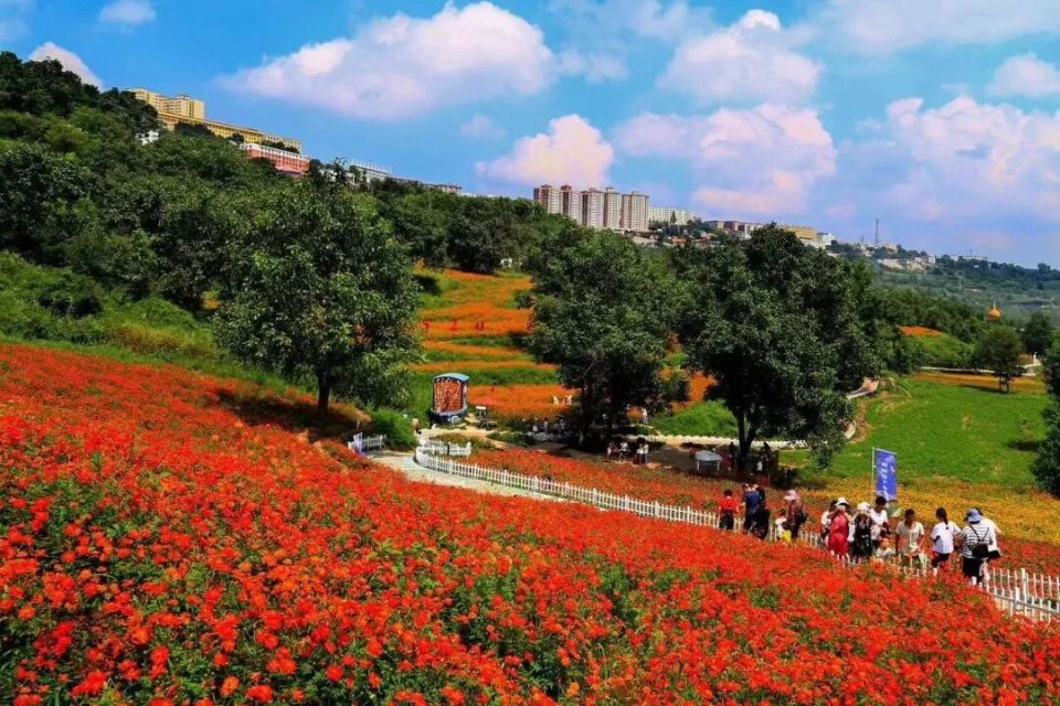 化名镇, NM 化名镇, NM