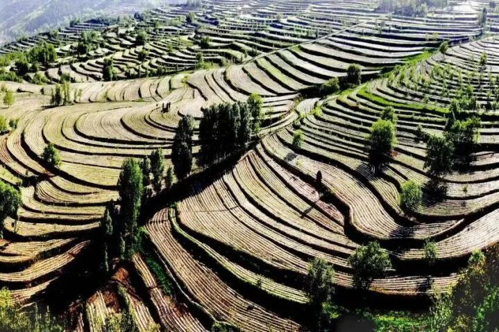 器遗址, 孙思邈在此 器遗址, 孙思邈在此